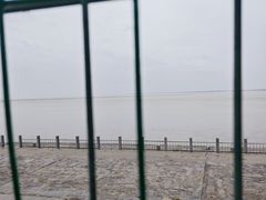 -观潮胜地公园