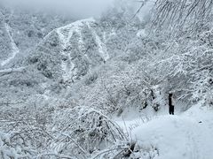 -九峰山