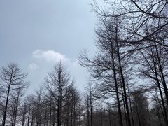 -宜兴龙背山森林公园
