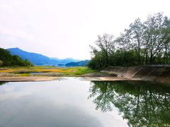 -白鹭湾湿地公园