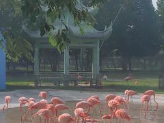 -秦皇岛野生动物园