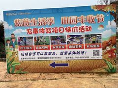 -武汉紫薇都市田园