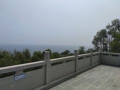 -广东惠东海龟国家级自然保护区