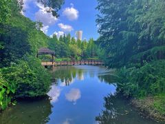 -上海滨江森林公园
