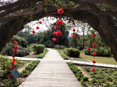 -广西壮族自治区药用植物园