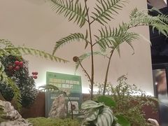 -糖糖屋•糖水•雪花冰店(时尚天河店)