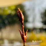 周末好去处，微露营⛺️🍖🥩🍵[礼花]