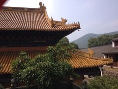 iphone_upload_pic-普陀山风景名胜区-法雨禅寺