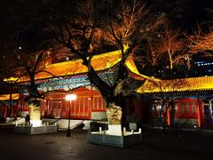 -中央音乐学院歌剧音乐厅