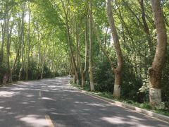 -紫金山山顶公园