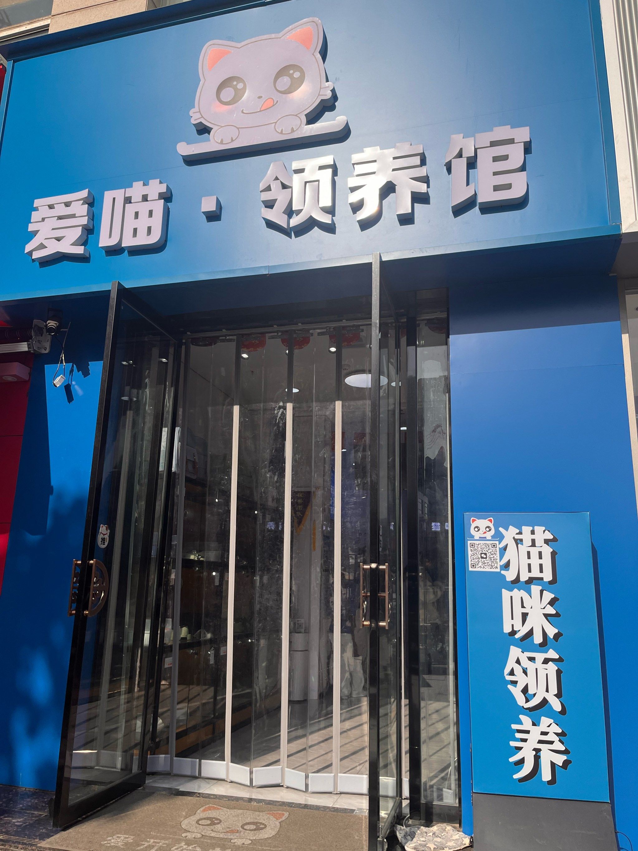 今天在高新发现一家超级适合爱猫人士的一家爱喵领养馆,进店咨询后