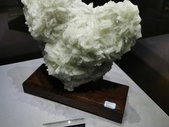 -湖南省地质博物馆