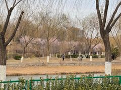 -南翠屏公园