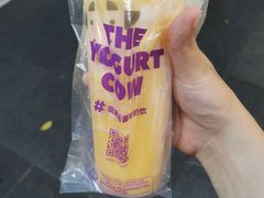 -一只酸奶牛(八一路店)