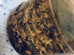-海边烧烤(凤台小区店)