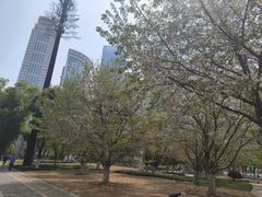 -西北湖绿化广场