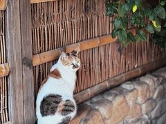 -龙华寺