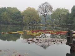 -浙江西子宾馆·瑶园咖啡厅