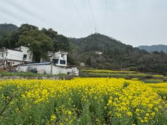 -上坦村