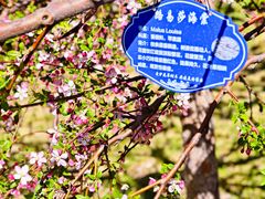 -元大都城垣遗址公园