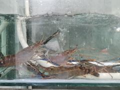 -旺山·浪头人家