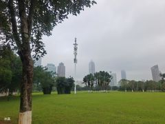 -万绿园