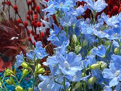 -何兮花店·气球派对鲜花店(马桥银春路万科城店)