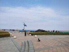 -南汇嘴观海公园