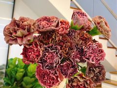 -森野花艺培训·企业团建活动沙龙