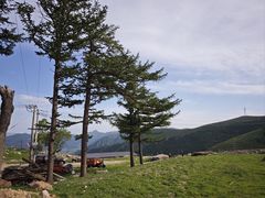 -蔚县茶山村