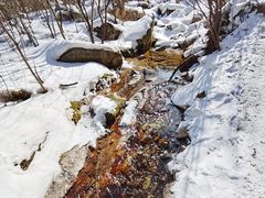 -秦岭风景区