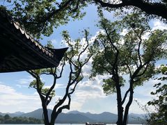 -杭州西湖柳莺里酒店·闻莺厅