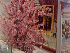 -梅园婚恋·婚姻介绍