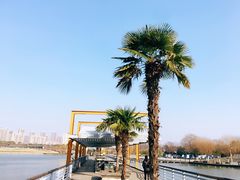 -白塘生态植物园