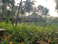 -Mekong Rest Stop
