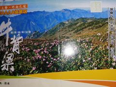 -牛背梁国家森林公园