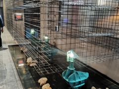 大堂-映像威海·威海宴(威高广场店)