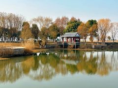 -扬子江公园