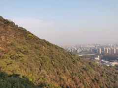 -杭州半山国家森林公园