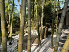-南山植物园