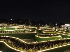 -莫子山公园