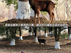 -苏州太湖国家湿地公园