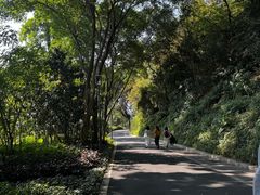-云溪植物园