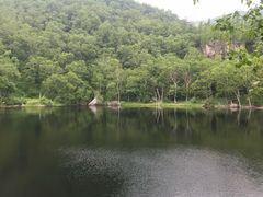 -美人松苑