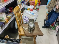 -华联超市(定边路店)