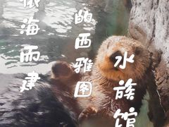 -西雅图水族馆