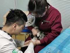 -瑞派·关忠动物医院·猫专科·犬专科(三环新城店)