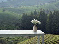 -帐篷客·溪龙茶谷度假酒店