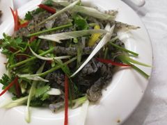 鱼皮-北戴河庆山饭店·海鲜砂锅粥(北戴河黑石路店)