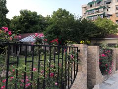 -大关公园
